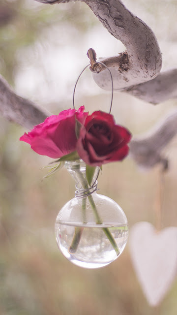 Roses Wallpaper iPhone 6S Plus
