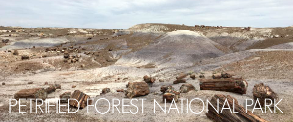 http://www.awayshewentblog.com/2017/04/exploring-petrified-forest-national.html