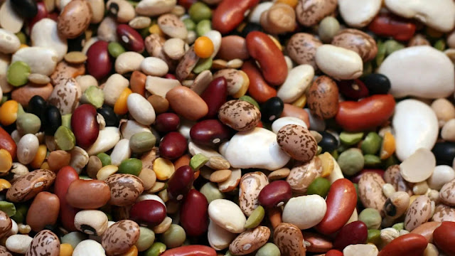 Legumes