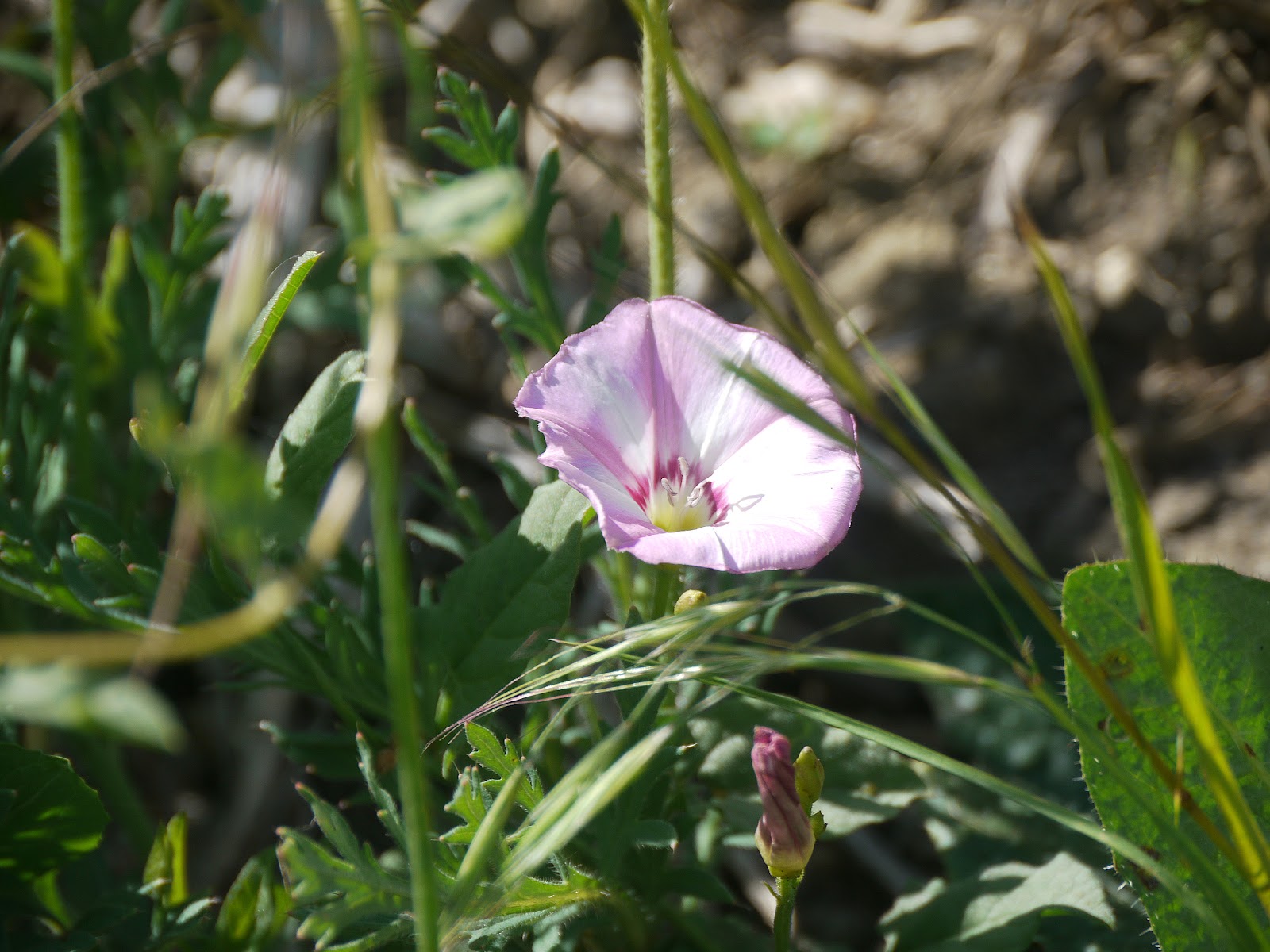 P1120439.JPG