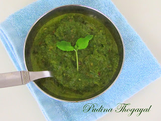 Mint Chutney