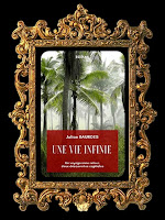 https://unpeudelecture.blogspot.com/2019/03/une-vie-infinie-de-julian-baurges.html