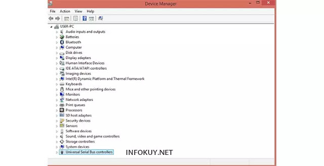 pilih menu Universal Serial Bus controllers