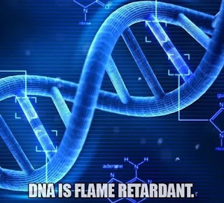 Fireproof coatings made from DNA