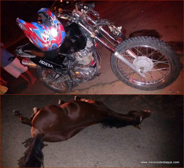 Homem fica ferido após bater com moto em animal na PE-160