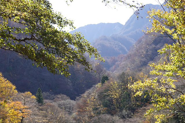 鳥取県西伯郡大山町 大山環状道路からの眺望