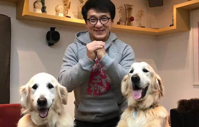 https://impelreport.com/jackie-chan-biography-lifestyle-news-facts-impelreport/