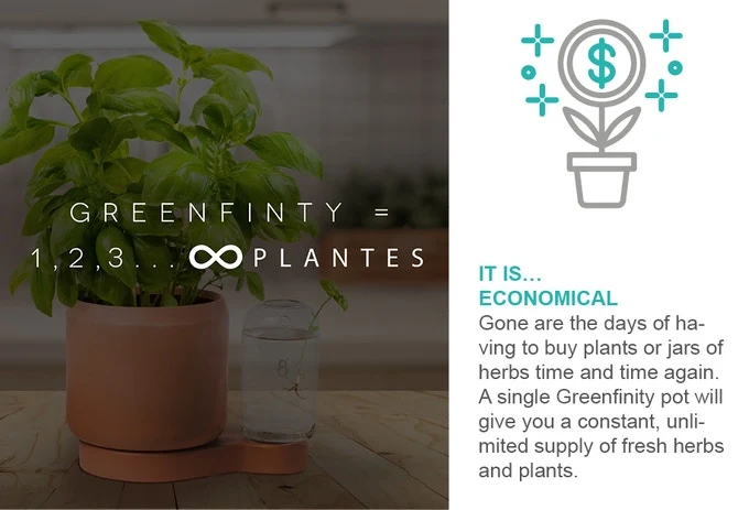 Greenfinity: Grow your cuttings and plant FOREVER TO GREENFINTY AND BEYOND! Stop buying plants or jars of herbs time and time again just to worry about them dying. Watch VIDEO BELOW⬇