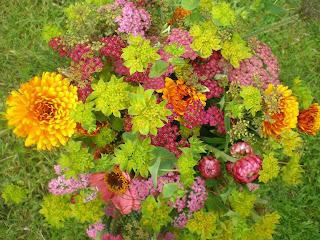 Autumn flowers