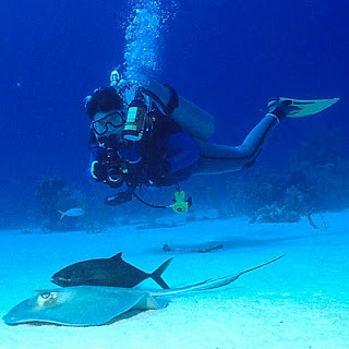 Diver photographing marine life