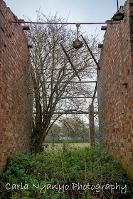 abandoned house 3