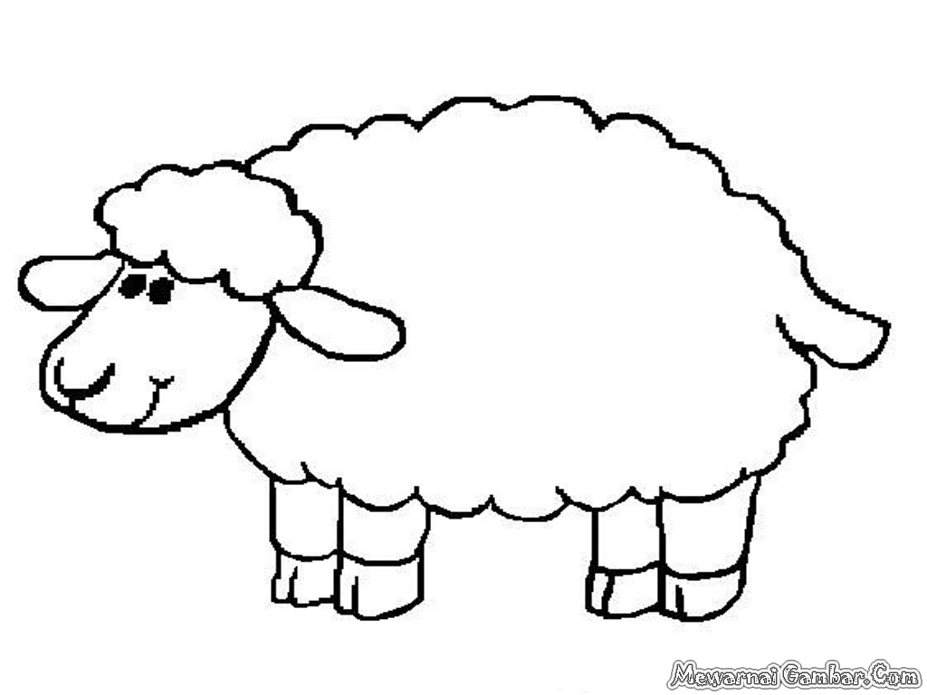 Gambar Kambing Dan Domba Kartun Cikimmcom