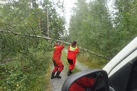 Kaksi henkilöä nostaa tien yli kaatunutta koivua