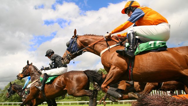 Race Horses jumping over a hedge