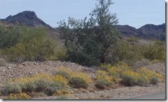 20160315_141017