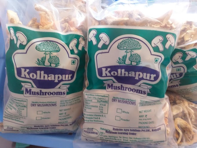 Dry Mushroom Supplier company in Solapur | Biobritte agro solutions private limited