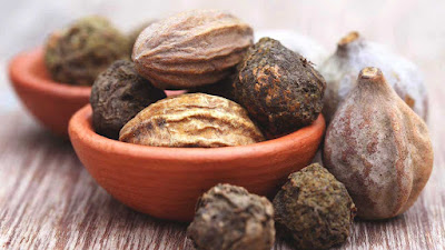 Herbal Remedies for Kidney Function