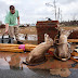 TORNADOS Y TORMENTAS CAUSAN 18 MUERTOS EN EL SUR DE LOS ESTADOS UNIDOS 