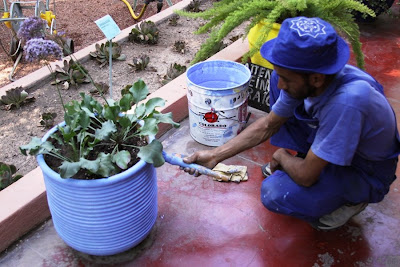 Garden Painter