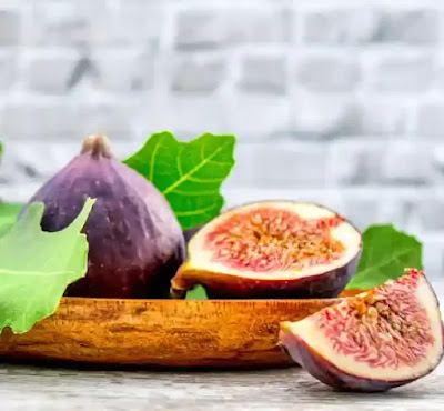 fig trees figs plant soil tree planting sun grow spring planted