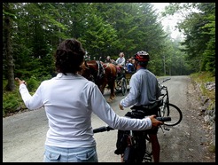 16e - Continuing to Jordan Pond House horse stop hitching a ride