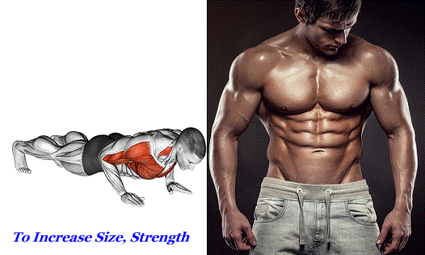 To Increase Size, Strength, And Stability, Learn How To Master The Press-Up With This Classic Bodyweight Exercise