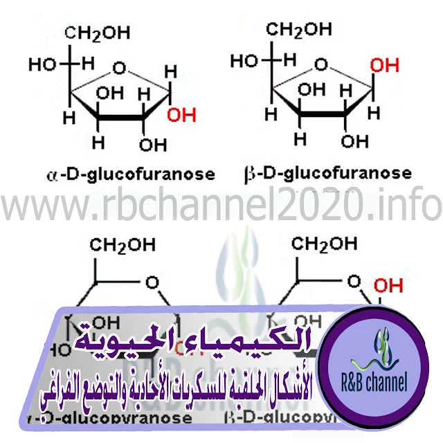 السكريات الاحادية - الأشكال الحلقية التوضع الفراغي