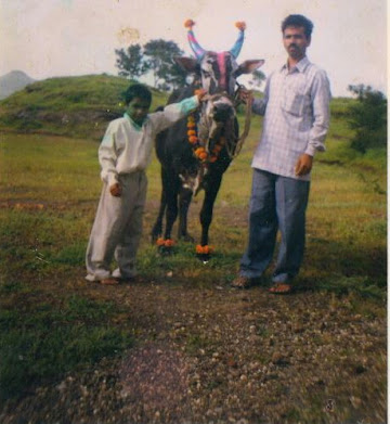 bail pola photo ganesh satkar mhaswandi