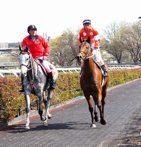 race 2_who shot the barman 1