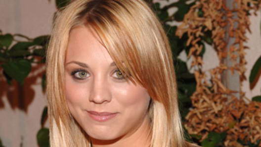 Kaley Cuoco is a damn fine anchor for a sitcom a hot blonde 