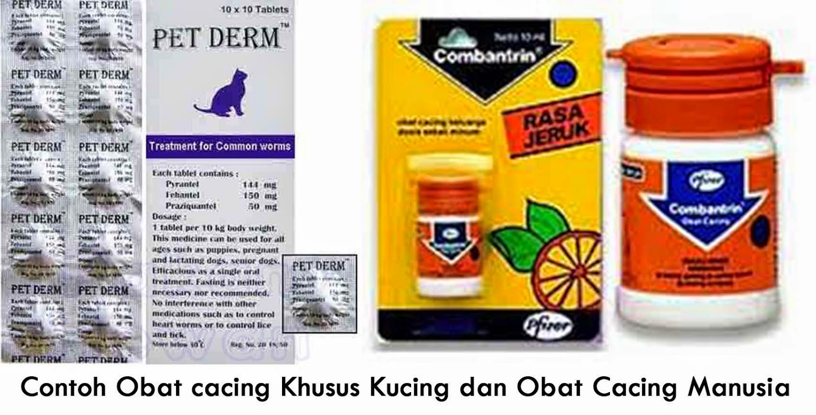 Apa Bedanya Obat Cacing Khusus Kucing dengan Obat Cacing 