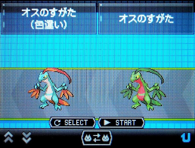 ポケモン エメラルド 色 違い 100 で最高の画像