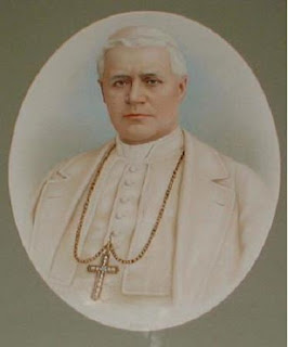 st pius x