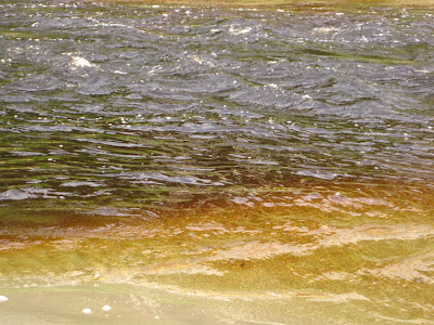 Colored water at the end of the Moclips River