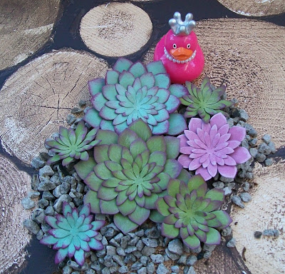 Craftyduckydoodah!, Oh So Succulent, Stampin' Up! UK Independent Demonstrator Susan Simpson, Succulent Framelits Dies, Supplies available 24/7, 