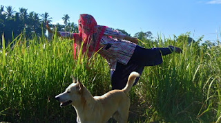 Campuhan Ridge Walk Ubud Bali Trek Jogging Bukan Biasa