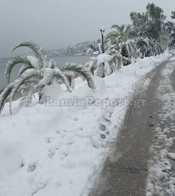 Γλύφα: Έφτασε τους 40 πόντους το χιόνι δίπλα στο κύμα