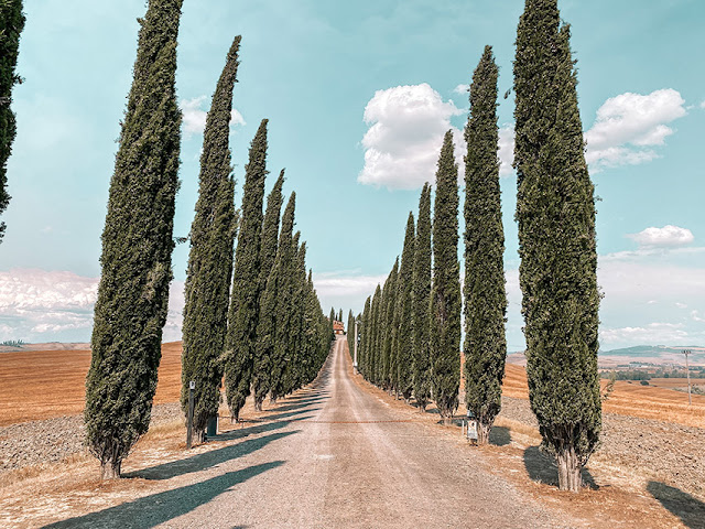 Val d'Orcia itinerario in auto in un giorno