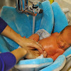 Blooming Bath Baby Bath Reviews : Blooming Bath Daisy | Baby bath seat, Baby bath tub, Baby bath - Blooming bath tubs prop the baby in a holding position that delivers that comfort.