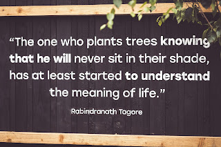 Tagore quote