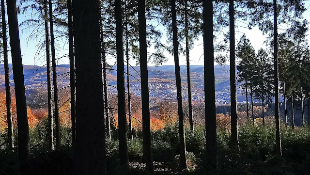 Sauerland wandern Wetter blog Meschede Rundweg Arnsberger Wald