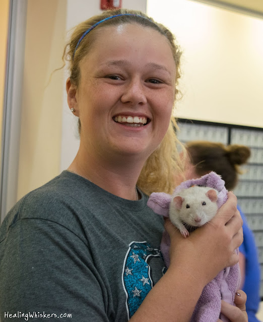 Oliver the Therapy Rat at Shorter University