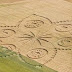 Crop Circle da record a Poirino (Torino)