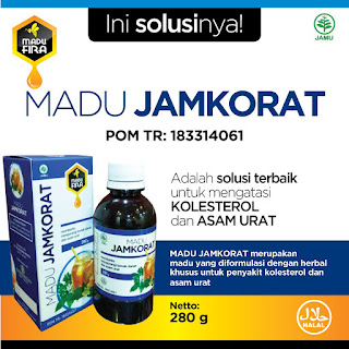 Jual Jamu Kolesterol di Makassar - Madu Fira