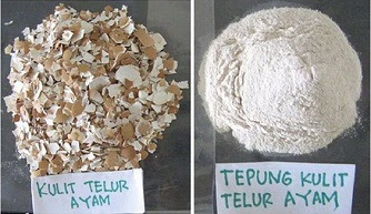 bubukCangkang Telur