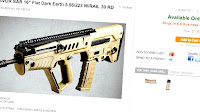 National Instant Criminal Background Check System