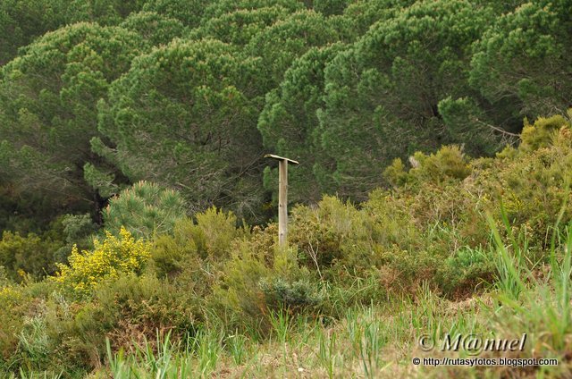 Sendero La Teja