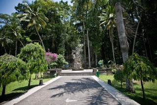 hutan monyet di sangeh, bali