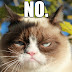 Grumpy Cat Has No Respect For The Beatles Barnorama