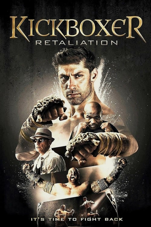 Ver Kickboxer: Contraataque 2018 Pelicula Completa En Español Latino